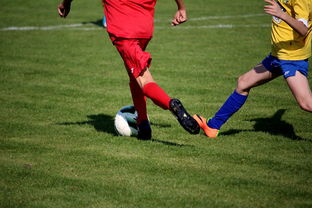 开云品牌-NBA球员训练计划优化设计，nba运动员训练计划